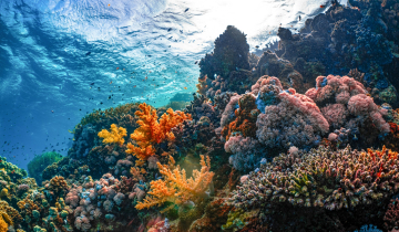 تور تست با پرواز ماهان